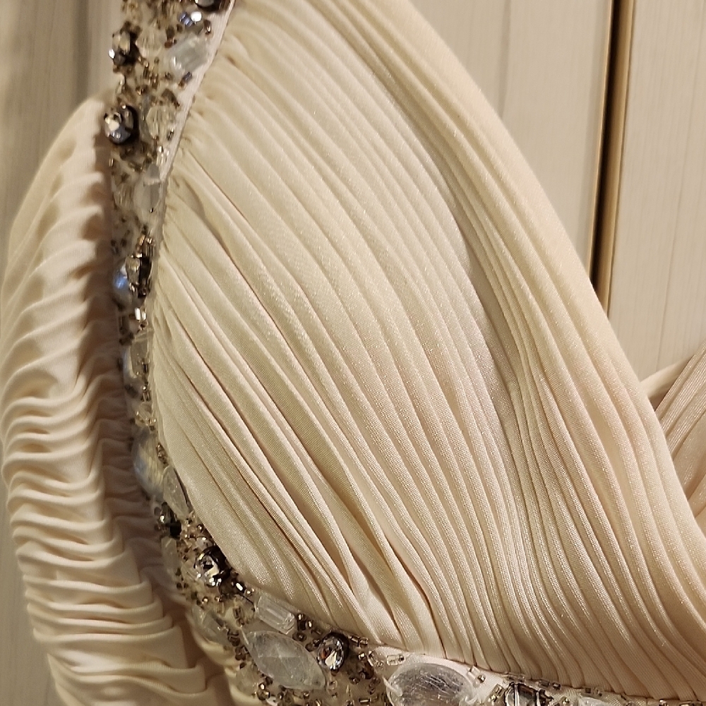 Cache Cream and Silver Backless Dress - Picture 11 of 11